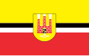 Żyrardów - Drapeau