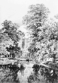 The Cam near Trinity College, Cambridge (unknown artist): a grove of mainly English elms on The Backs[95]
