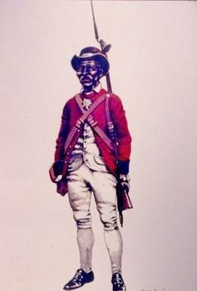 Pablo Alí was a chief military commander, who was in charge of the Battalion 31 and freed slaves which joined the ranks of the Dominican army. He is s