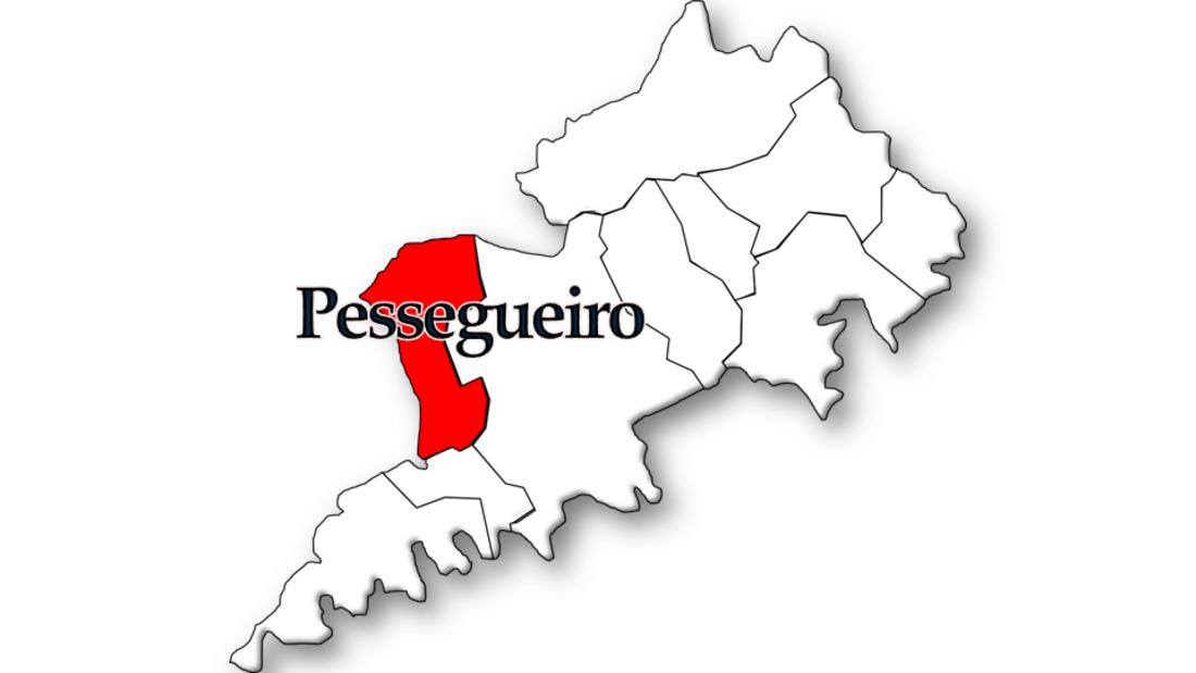 Pessegueiro (Pampilhosa da Serra)