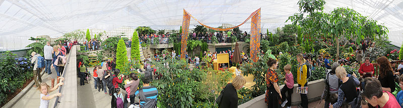 File:Papillons en liberté au Jardin botanique de Montréal (29 mars 2013) (8602781187).jpg