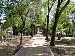 Skyline of La Lantejuela