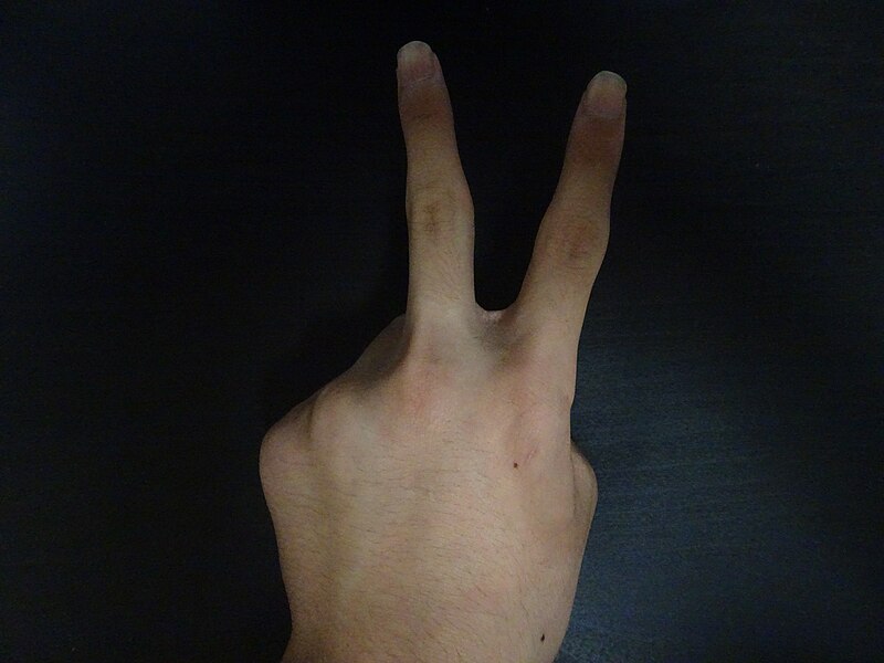 File:Peace sign photo.jpg