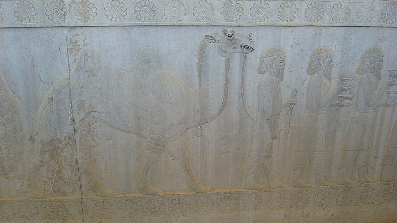 File:Persepolis16.JPG