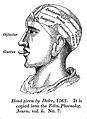 Phrenology; head given by Dolce, 1562 Wellcome L0001231.jpg