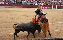 Bullfighting horse wearing eye protection Picador.JPG
