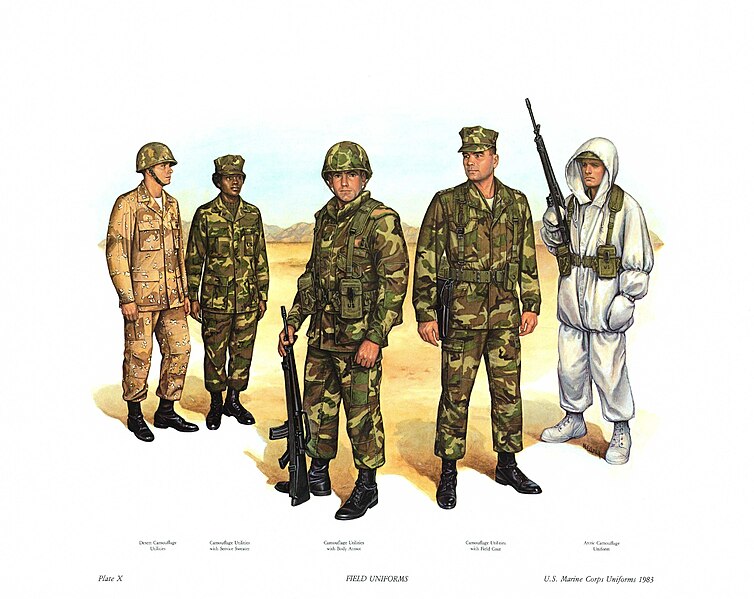 File:Plate X, Field Uniforms - U.S. Marine Corps Uniforms 1983 (1984), by Donna J. Neary.jpg