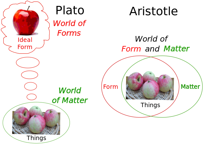 Plato's forms exist as universals, like the ideal form of an apple. For Aristotle, both matter and form belong to the individual thing (hylomorphism).