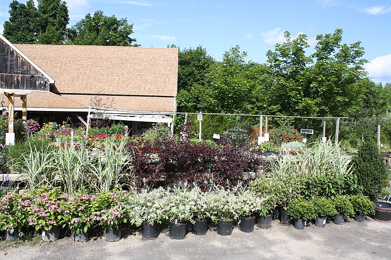 File:Pleasant View Nursery - panoramio (2).jpg