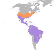Polioptilidae map.svg