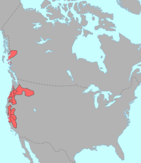 Velika porodica Penutian, Sjeverna Amerika.