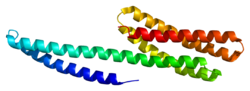 Eiwit CTNNA1 PDB 1dov.png