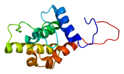 חלבון LCP1 PDB 2d85.png