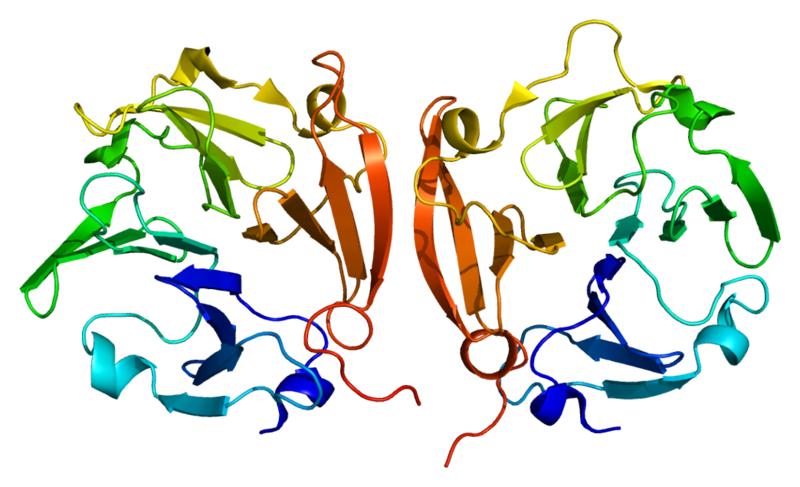 File:Protein MMP9 PDB 1itv.png