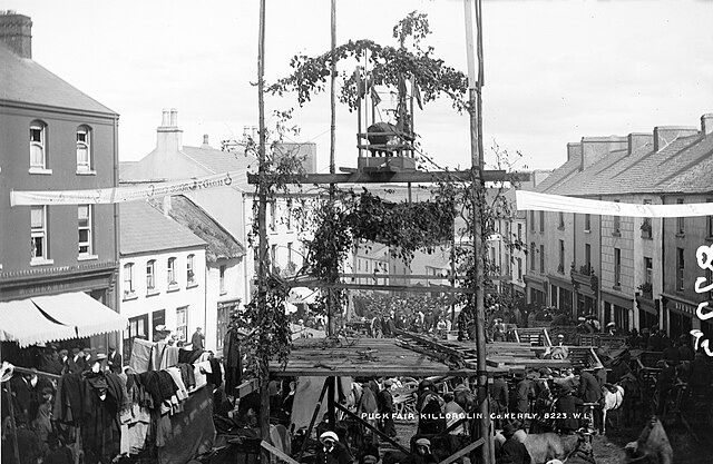 The Puck Fair circa 1900, showing the wild goat (King Puck) atop his "throne"