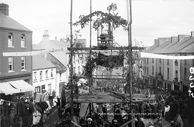 File:Puck Fair, Killorglin, Co. Kerry.jpg