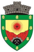 Wappen von Baia de Aramă