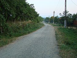 Skyline of Nemešešti