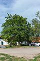 * Nomination Winemaker alley with press houses and wine cellars, Reichsgraben, located in Zellerndorf, Lower Austria. By User:Kellergassen Niederösterreich 2016 --Hubertl 04:32, 2 October 2016 (UTC) Tilted in ccw direction Poco a poco 05:33, 2 October 2016 (UTC)*  Done thanks for reviewing, Poco a poco, please have another look. --Hubertl 12:38, 6 October 2016 (UTC) * Promotion Good quality. --Poco a poco 09:04, 8 October 2016 (UTC)