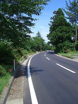 Weg in niigata.jpg