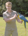 Robert Irwin with a parrot