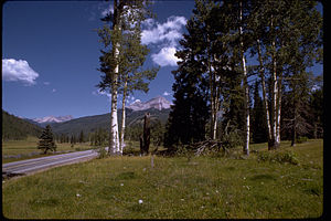 Rocky Mountain National Park ROMO9025.jpg