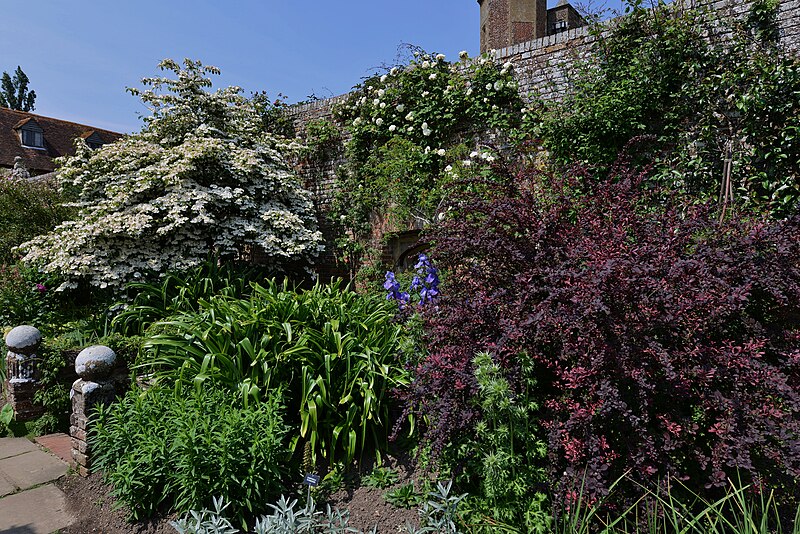 File:SISSINGHURST CASTLE GARDEN A border with a large Berberis.JPG