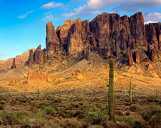 in Lost Dutchman State Park