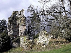 A Château de Saint-Aubin-du-Cormier cikk illusztráló képe