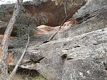 Sandstone Caves, Gamilaraay country, Pilliga NR SandstoneCavesPilliga27099501127 4df5800a2f o.jpg