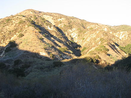 California chaparral in Aliso Canyon, Santa Susana Mountains