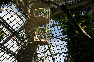 Palmenhaus