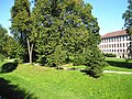 Schlosspark-Meiningen1.jpg