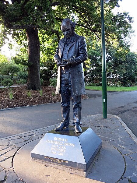 Sculpture of Ronald Campbell Gunn in City Park Launceston March 2015.jpg