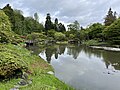 Seattle Japanese Garden