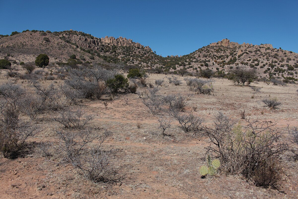 Para que sirve la sierra de arco