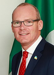 Illustrativt billede af artiklen Forsvarsminister (Irland)