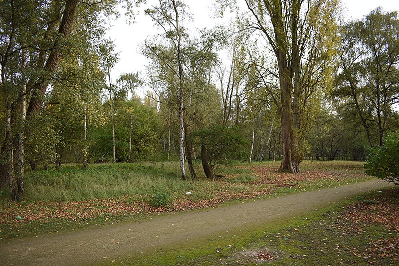 File:Sint-Annabos wandelweg.jpg