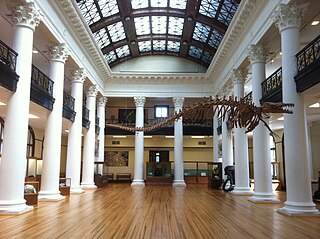 <span class="mw-page-title-main">Alabama Museum of Natural History</span> Museum in Tuscaloosa, Alabama, United States