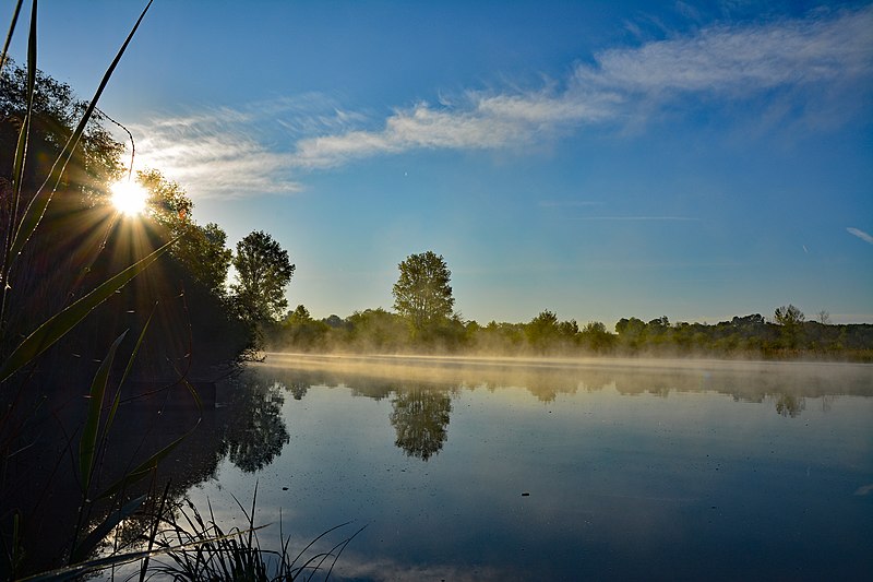 File:Sonnenaufgang Reinheimer Teich.jpg