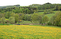 Čeština: Pastviny severně od Dolního Dobřejova, část Střezimíře English: Pastures north from Dolní Dobřejov, part of Střezimíř, Czech Republic.