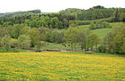 Čeština: Pastviny severně od Dolního Dobřejova, část Střezimíře English: Pastures north from Dolní Dobřejov, part of Střezimíř, Czech Republic.