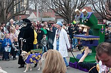 Mardi Gras in St. Louis, 2011 St Louis Mardi Gras Pet Parade 2011-16.jpg