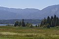 westlicher Staffelsee mit Mooslandschaft