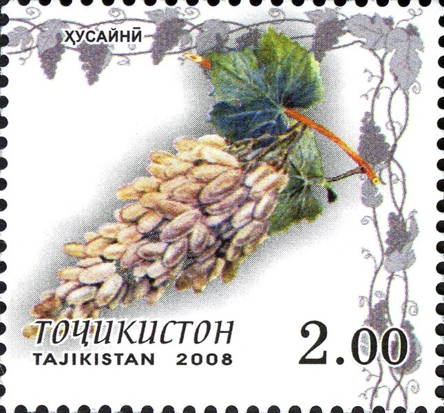 File:Stamps of Tajikistan, 029-08.jpg