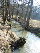 Štěpánovský potok (prírodná rezervácia)
