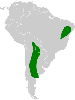 Stigmatura budytoides map.svg