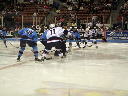 The Stingrays battle the Charlotte Checkers for control of the puck during the first round of the 2009 Kelly Cup playoffs.