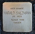 wikimedia_commons=File:Stolperstein für Harald Salzmann.JPG