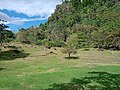 Pemandangan bukit karst yang dikelilingi pepohonan di Taman Prasejarah Sumpang Bita